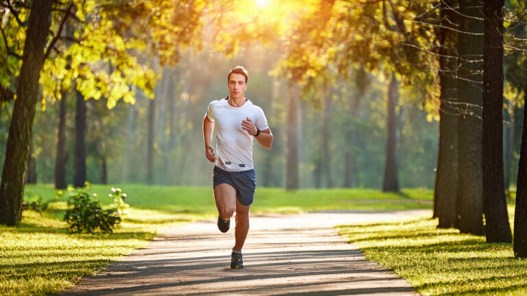 Warum du nicht an Disziplin scheiterst – sondern am Ernährungssystem