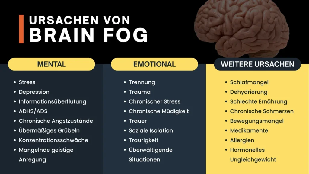 Mentale, emotionale und weitere Ursachen von Brain Fog wie Stress, Depression, Trauma, Schlafmangel, schlechte Ernährung, Bewegungsmangel und hormonelles Ungleichgewicht als übersichtliche Tabelle dargestellt